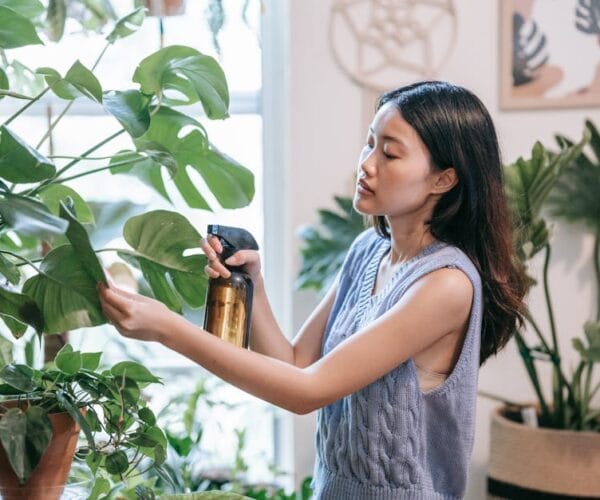 Les critères essentiels pour choisir un humidificateur