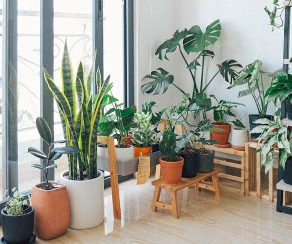 Astuces de bricolage pour une maison accueillante