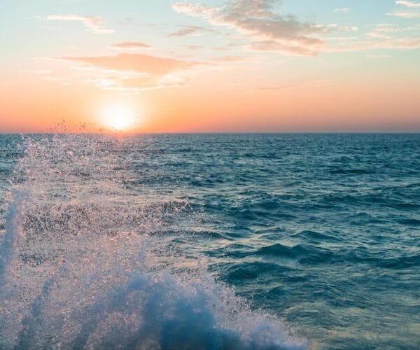 Où suivre la série Empire en streaming facilement ?