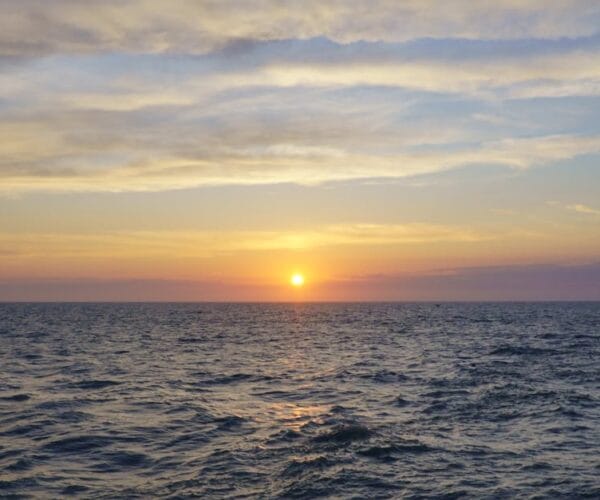 Qui est 13or ? Biographie et actualités