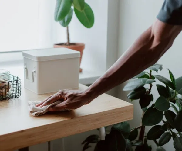 Entretien essentiel pour un habitat sain