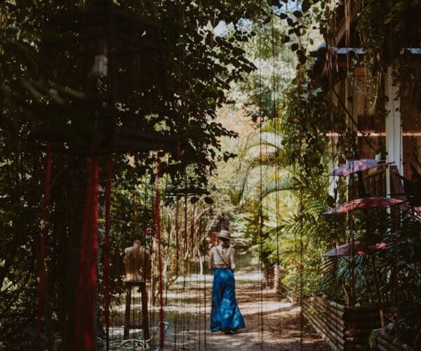 Les plantes idéales pour un jardin ombragé