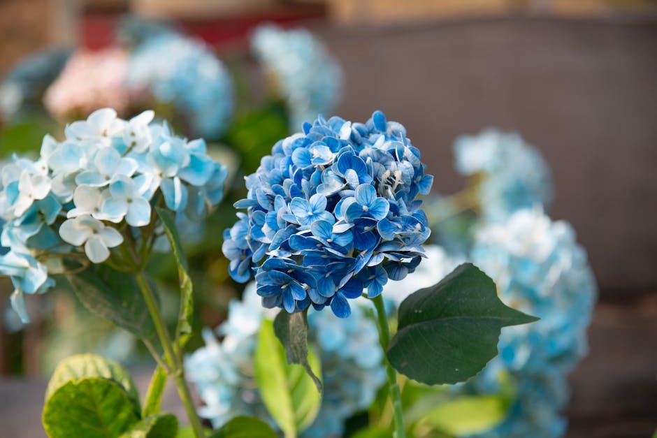 Comment optimiser l’entretien de votre jardin