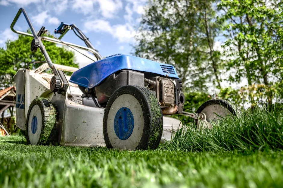 Entretien du jardin : conseils pratiques