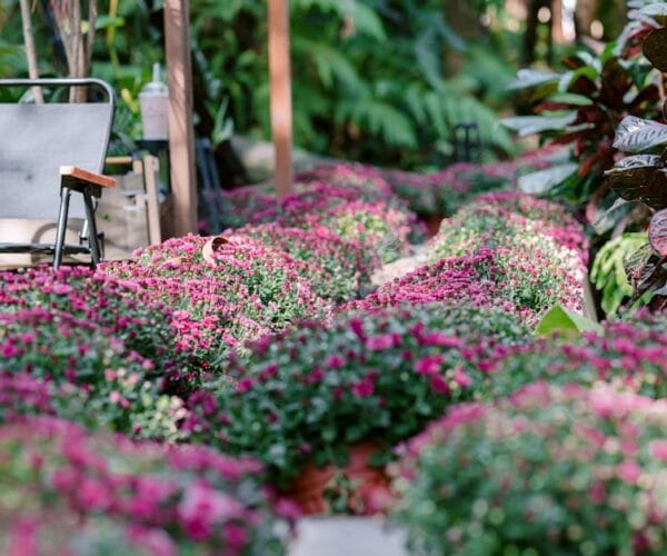 Aménager son jardin : 5 idées inspirantes