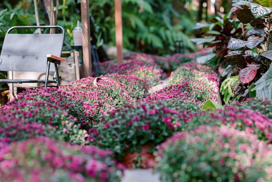 Aménager son jardin : 5 idées inspirantes