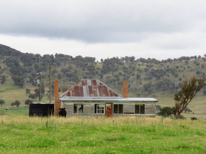 Astuces de bricolage pour rénover votre maison