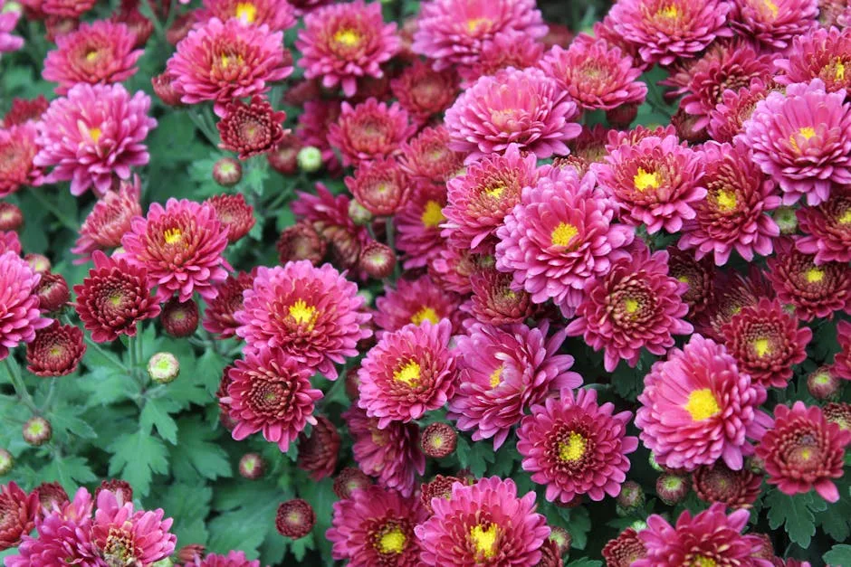 Les bienfaits d’un jardin fleuri pour la maison