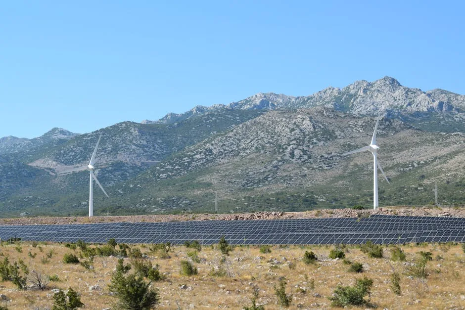 Énergie renouvelable : des solutions pour tous
