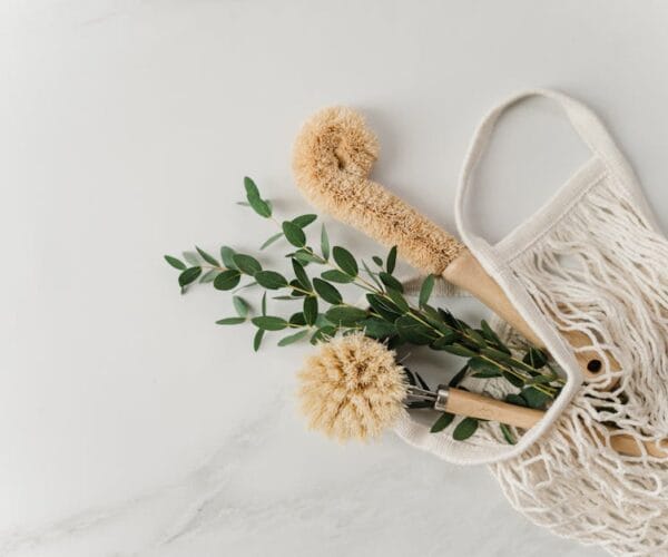 Solutions naturelles pour un foyer propre