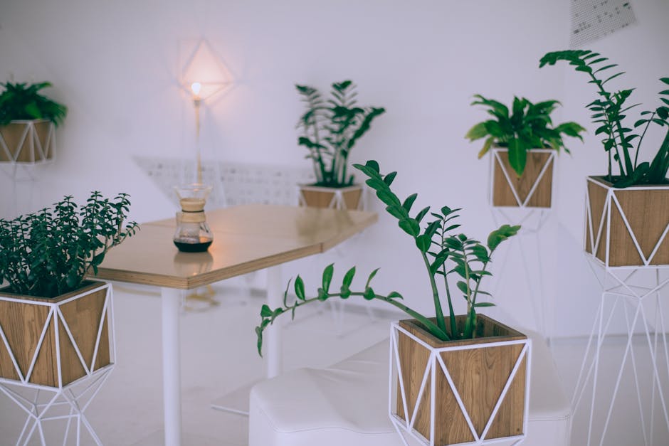 Transformez votre espace avec ces astuces