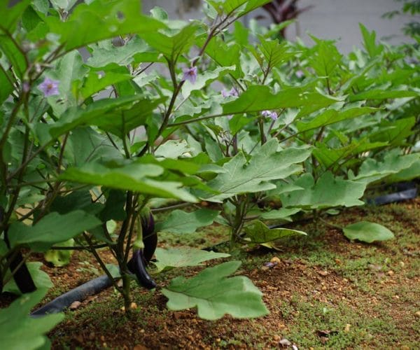 Bricolage : transformer les espaces perdus