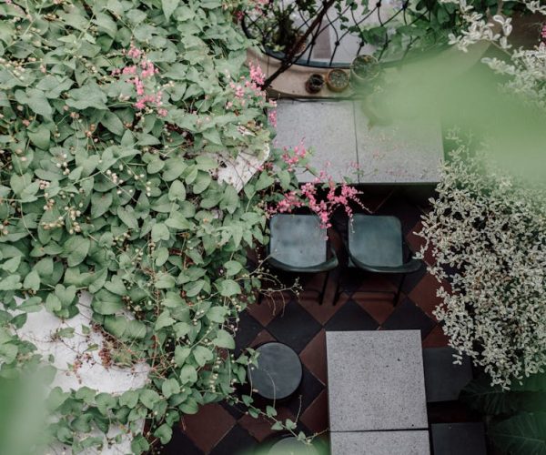Aménager son jardin : astuces pratiques