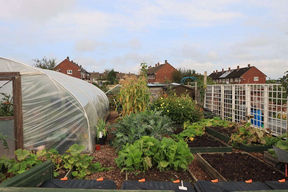 Comment créer un potager sans effort chez soi