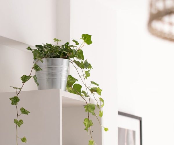 Améliorez Votre Décor avec Ces Astuces Pratiques