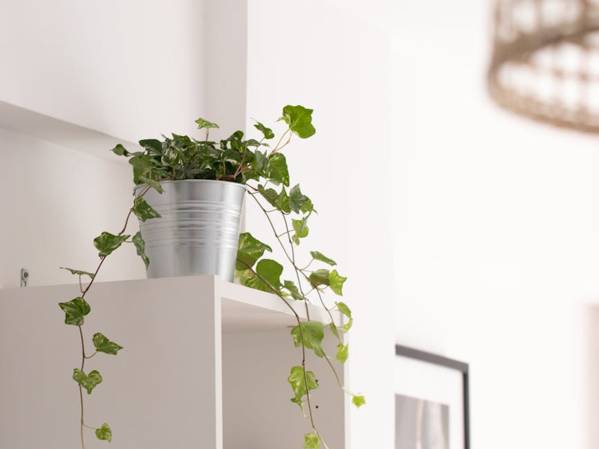 Améliorez Votre Décor avec Ces Astuces Pratiques