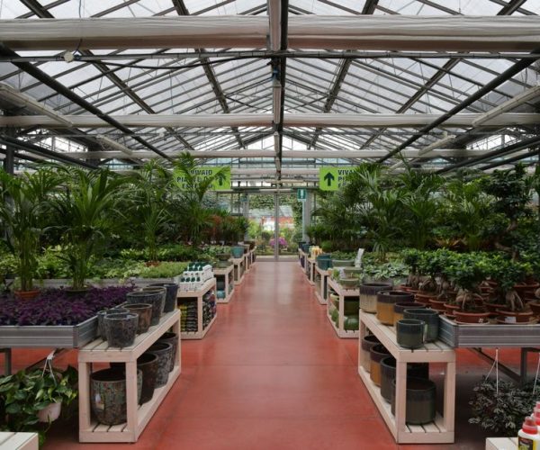 Techniques de jardinage pour novices