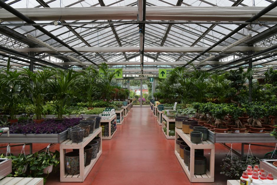 Techniques de jardinage pour novices