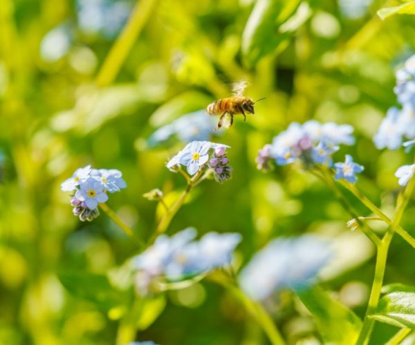 Préserver son habitat : les gestes essentiels