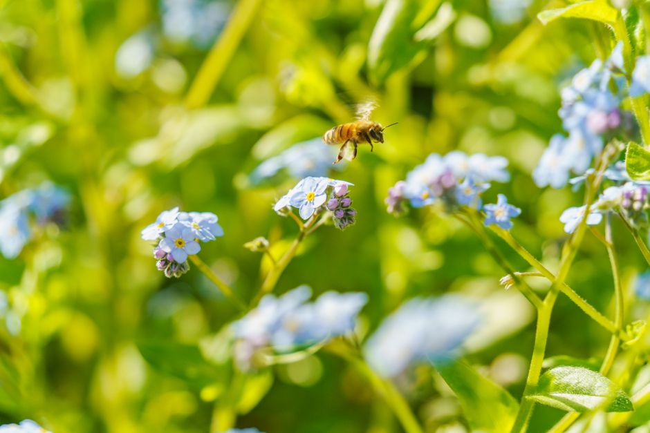 Préserver son habitat : les gestes essentiels