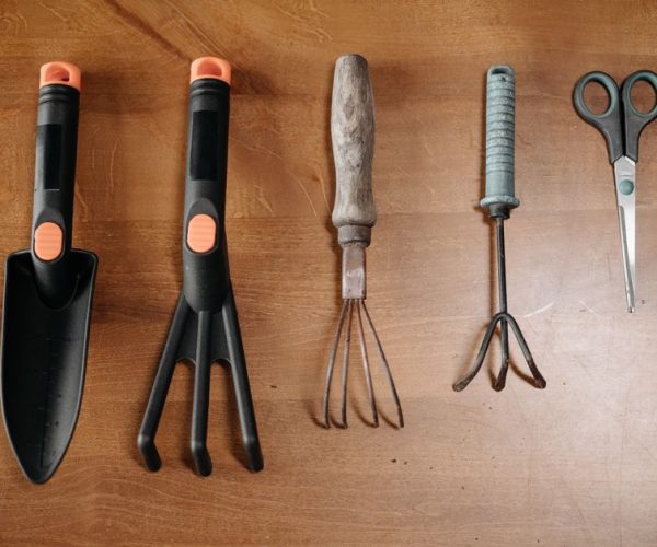 Entretenir son jardin : astuces et conseils pratiques
