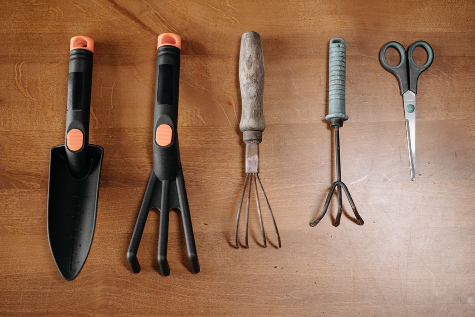Entretenir son jardin : astuces et conseils pratiques