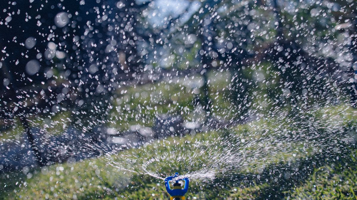 Arroser son jardin en canicule sans gaspiller l’eau