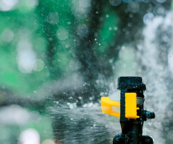 Créer un système d’irrigation automatique pour son jardin en 2026