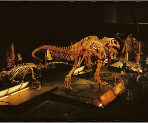 Musées scientifiques originaux à visiter le week-end